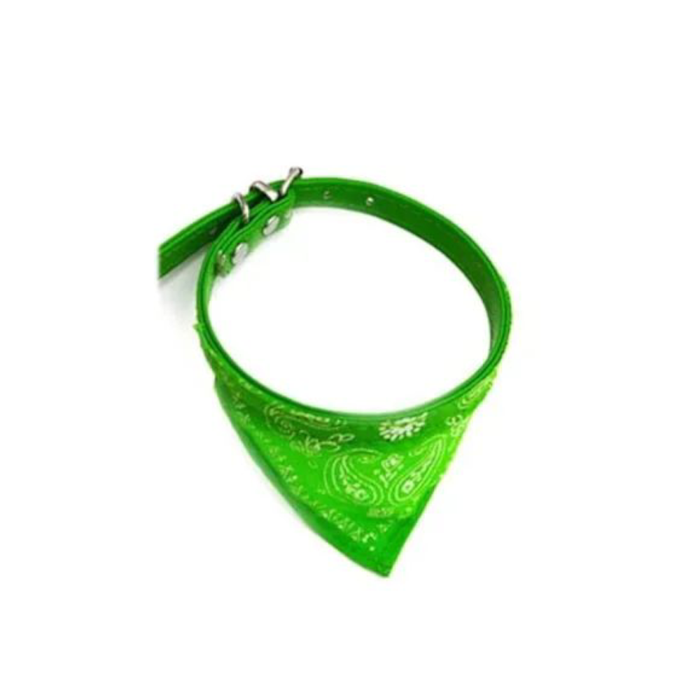 Collar con pañoleta