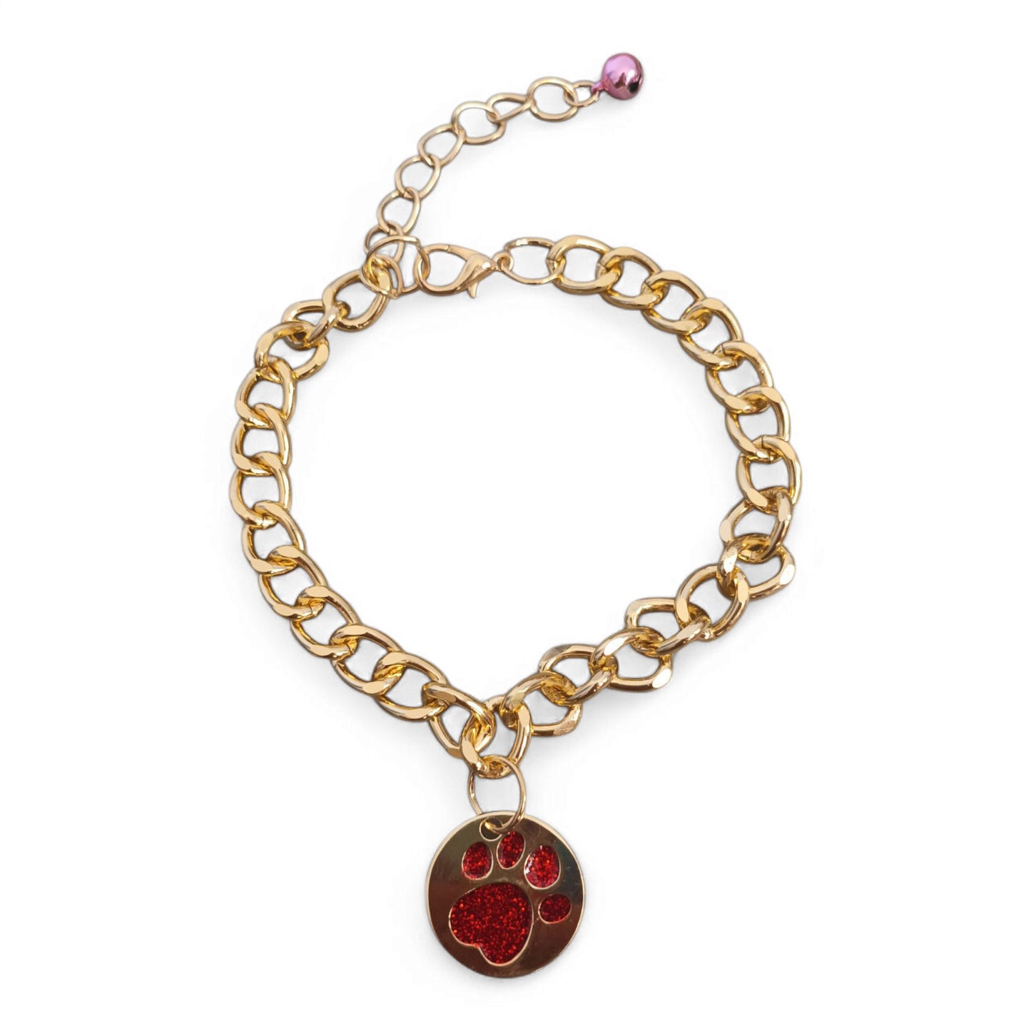 Collar + placa de identificación