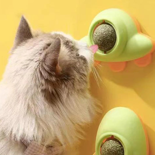 Catnip 360°