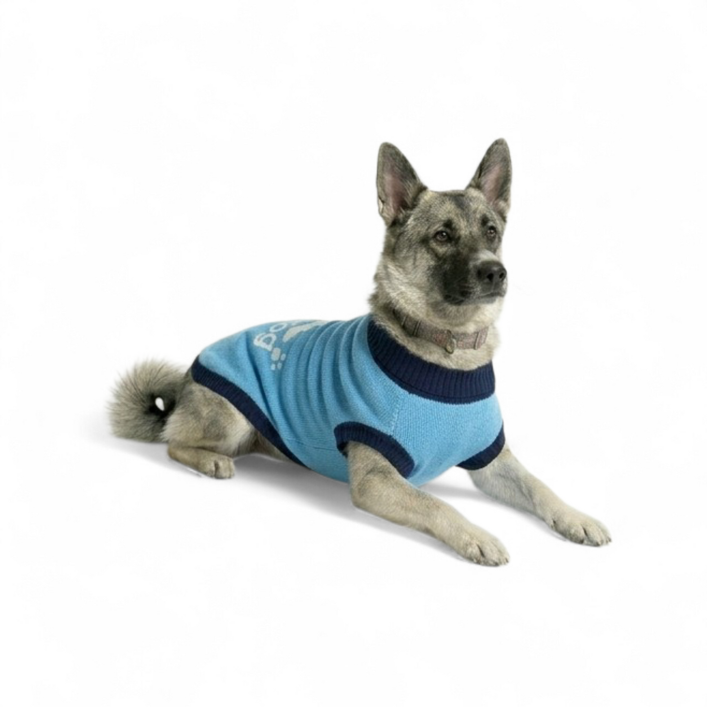 Sweater Adidog