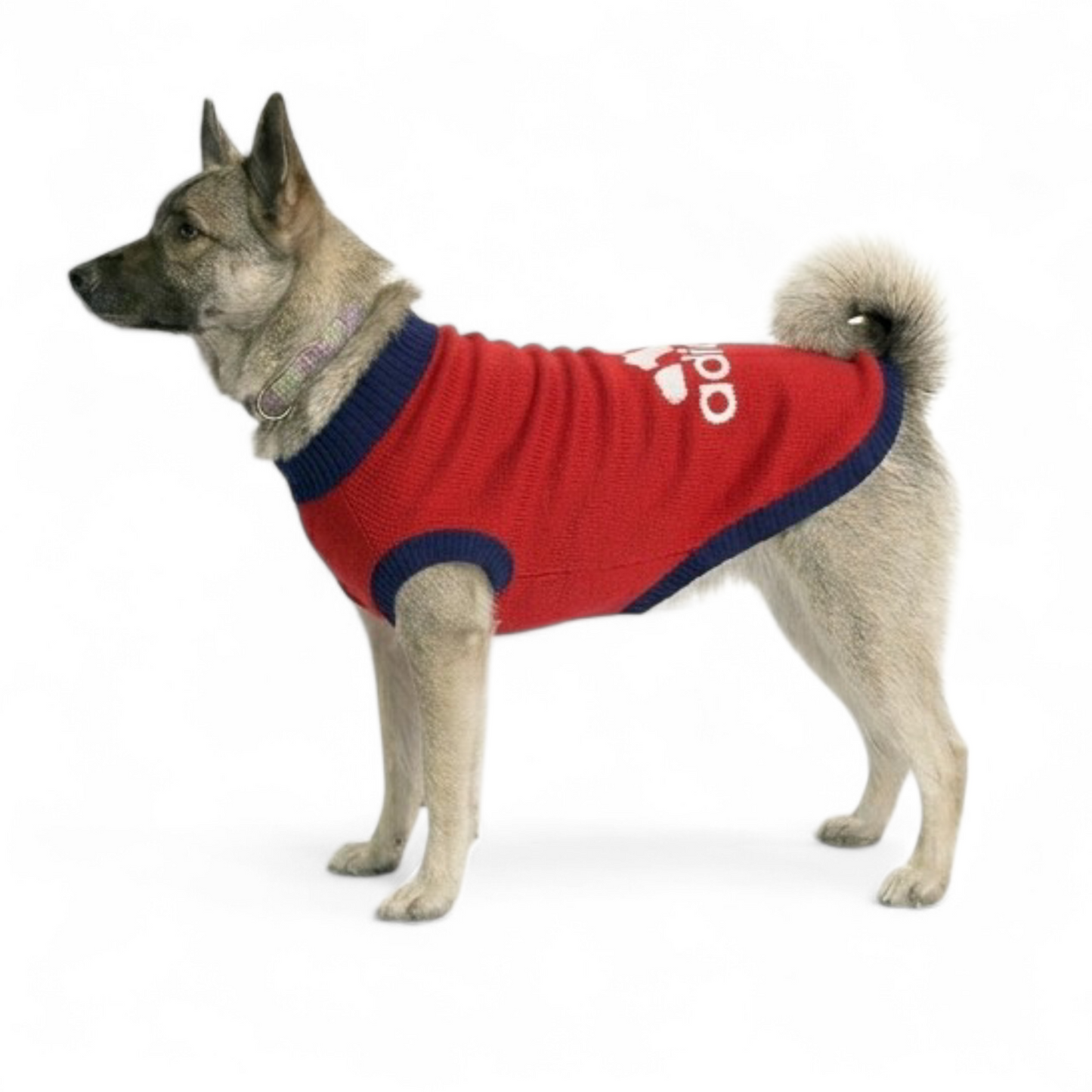 Sweater Adidog