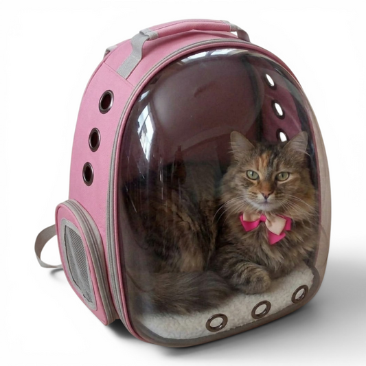 Mochila transportadora