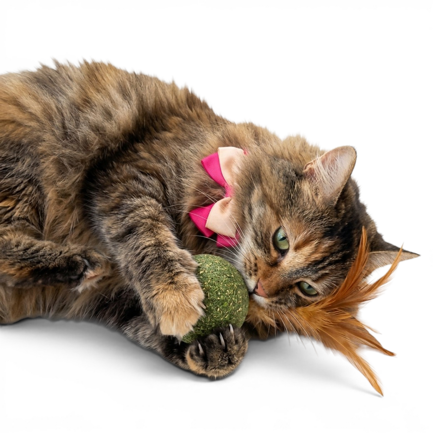 Bola de catnip