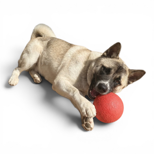 Pelota resistente