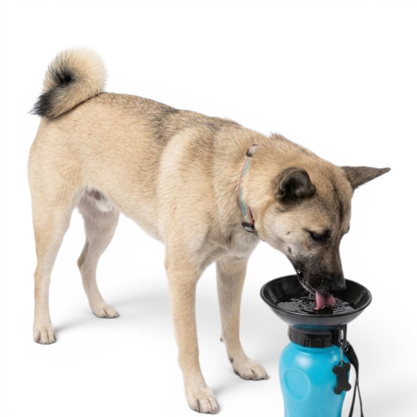Botella para paseo