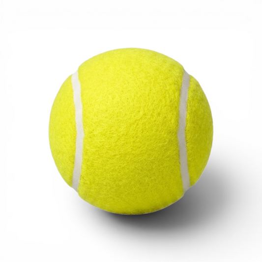 Pelota tenis