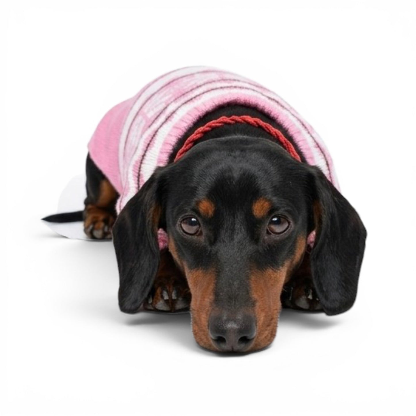 Sweater copos de nieve