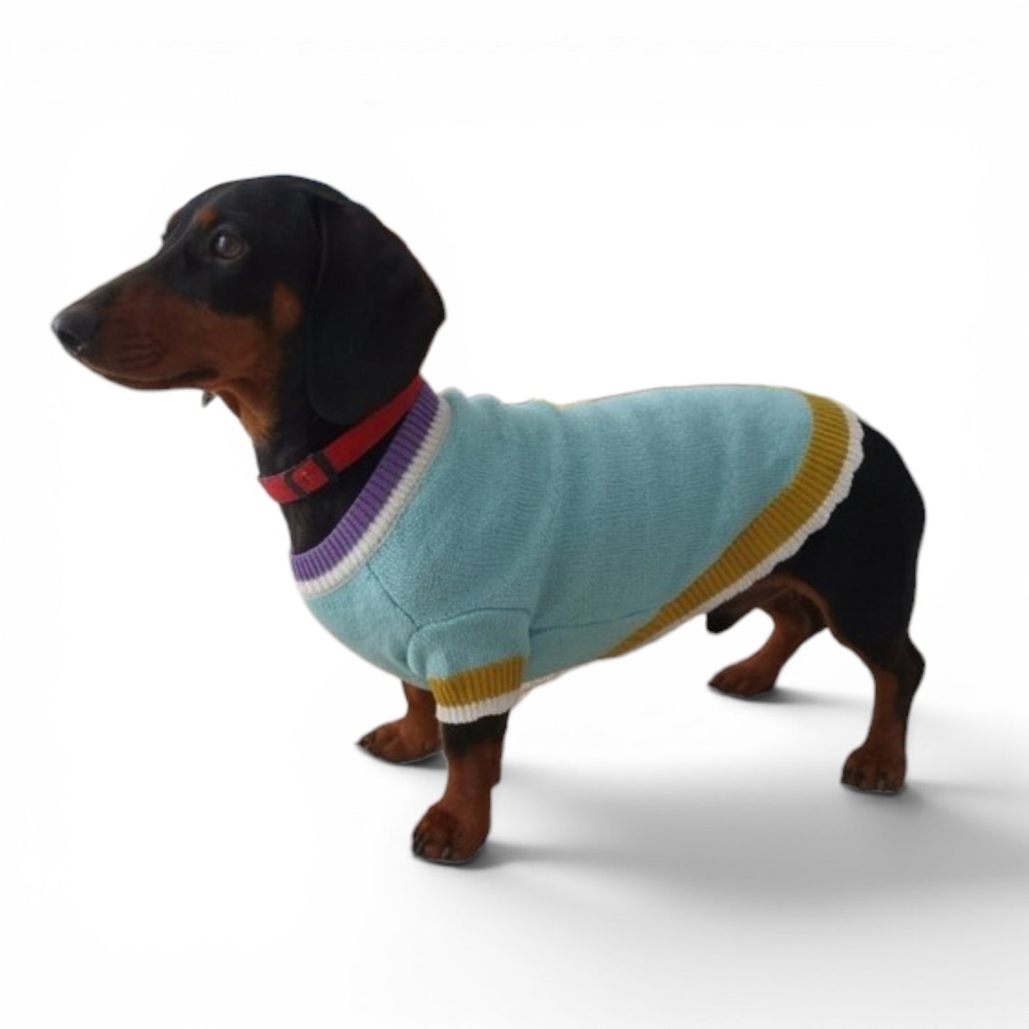 Sweater colorido