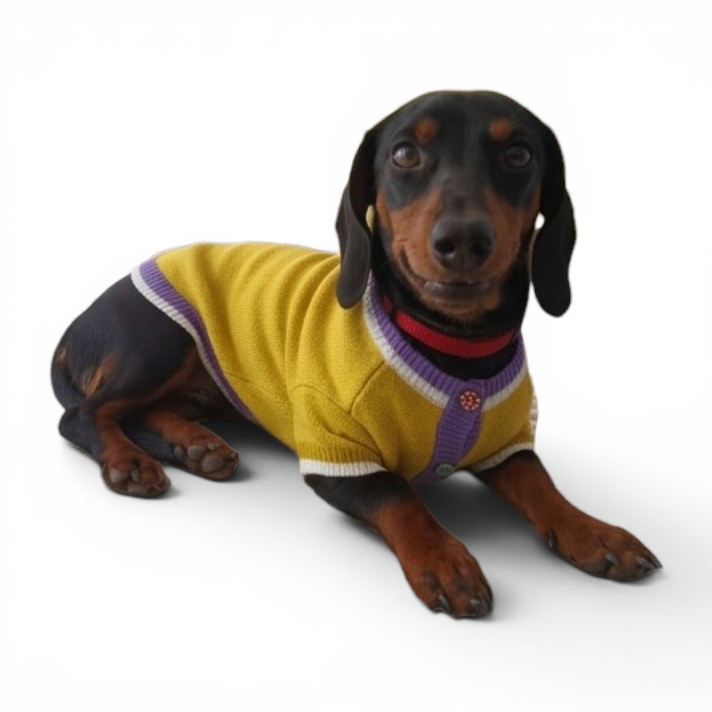 Sweater colorido