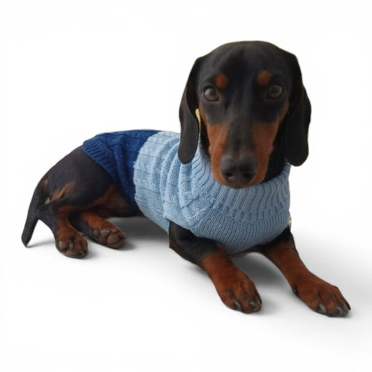 Sweater bicolor
