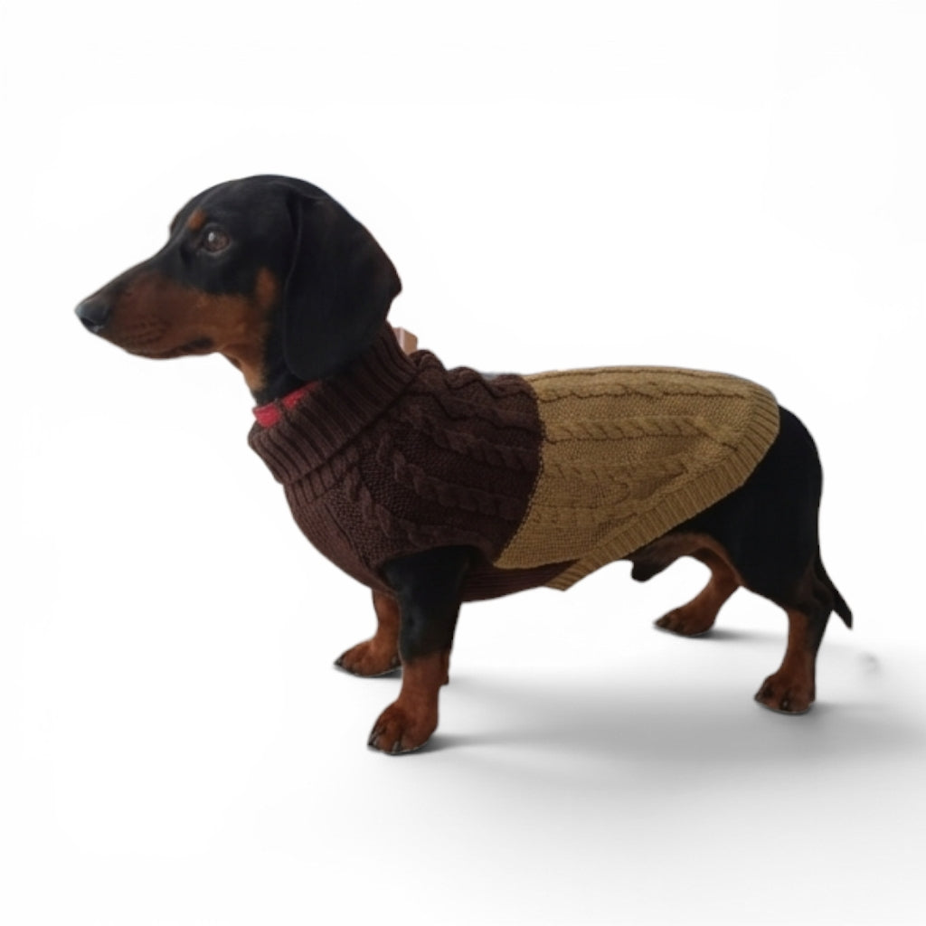 Sweater bicolor