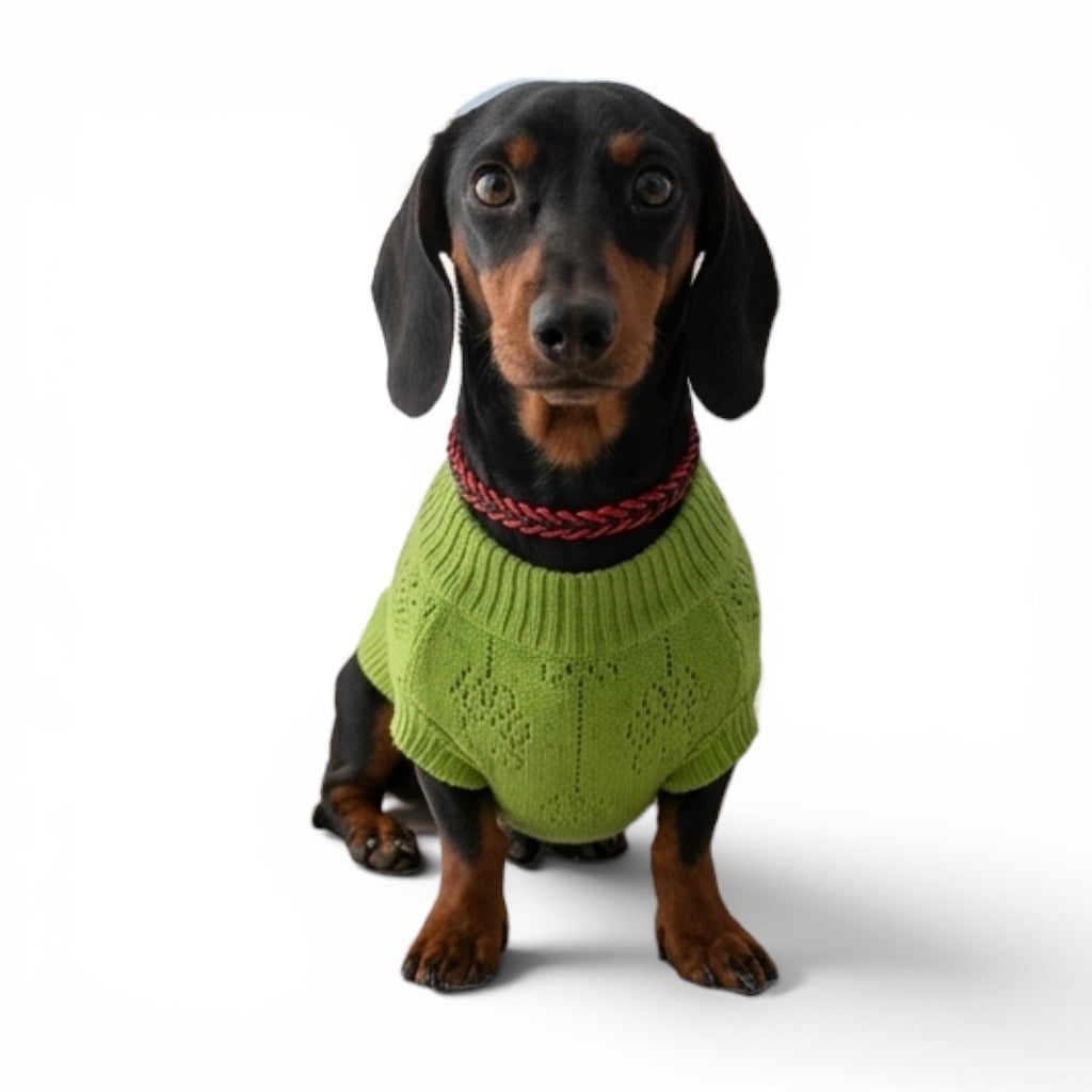 Sweater con patitas