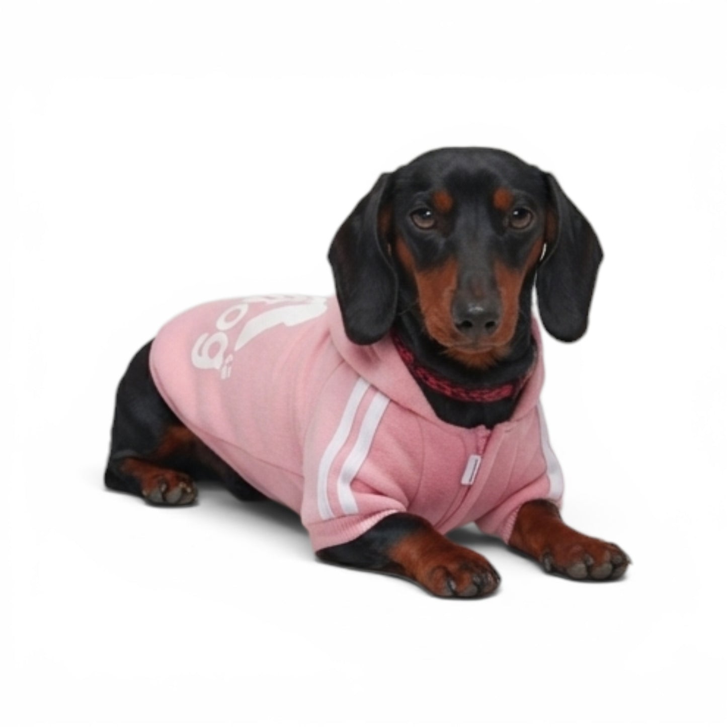 Polerón Adidog