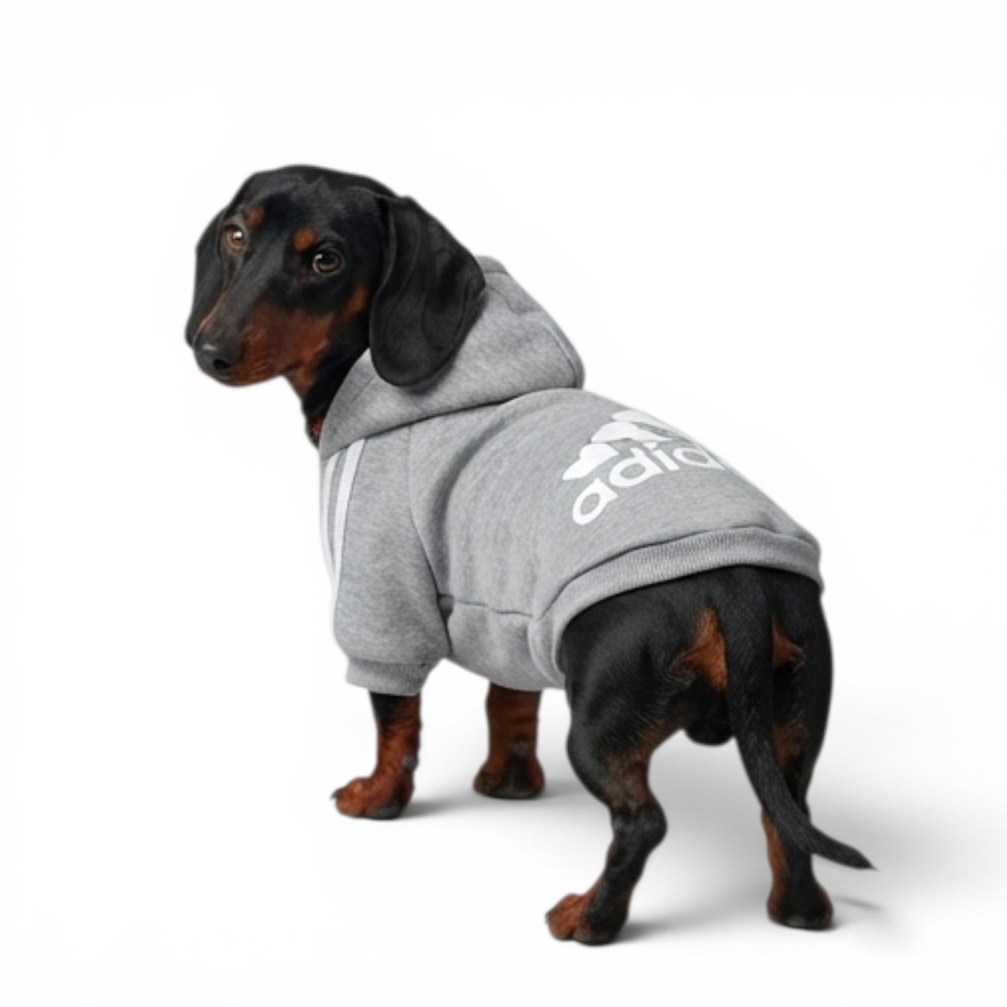 Polerón Adidog
