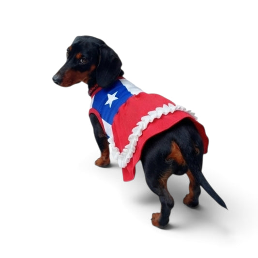 Vestido bandera Chilena