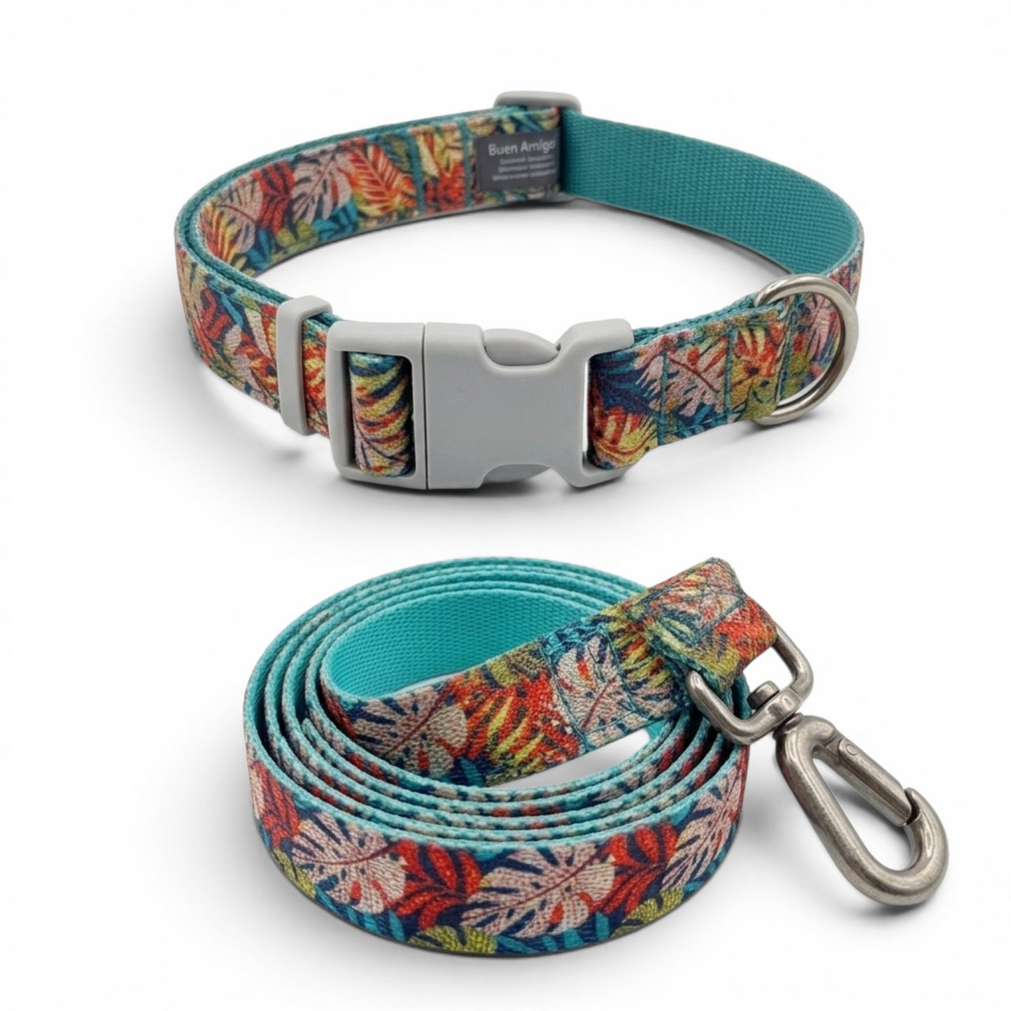 Collar + correa