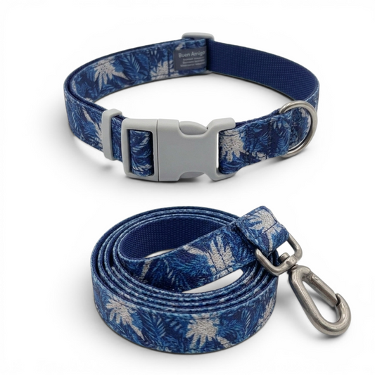 Collar + correa