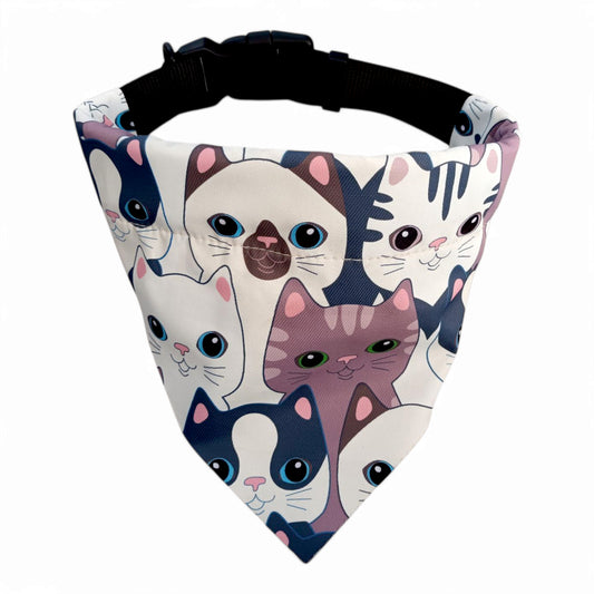 Collar + pañoleta