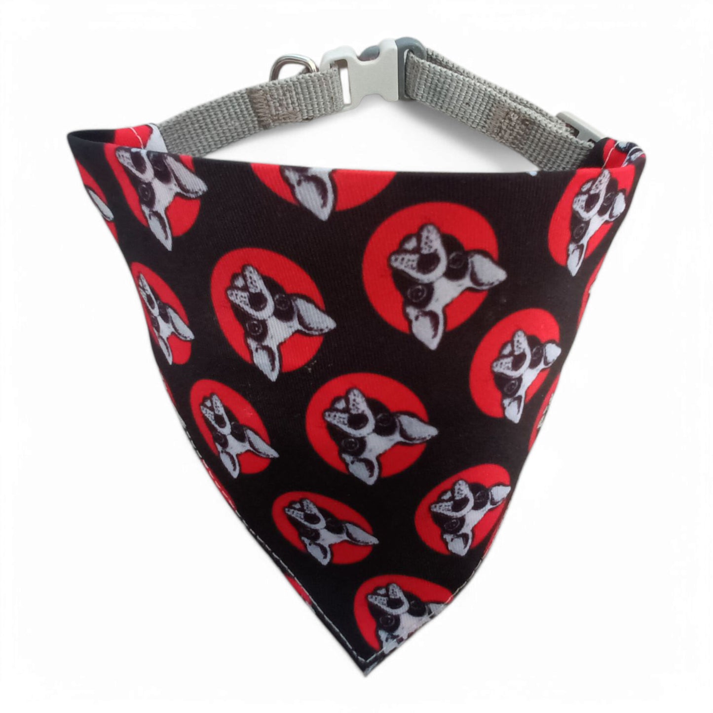 Collar + pañoleta