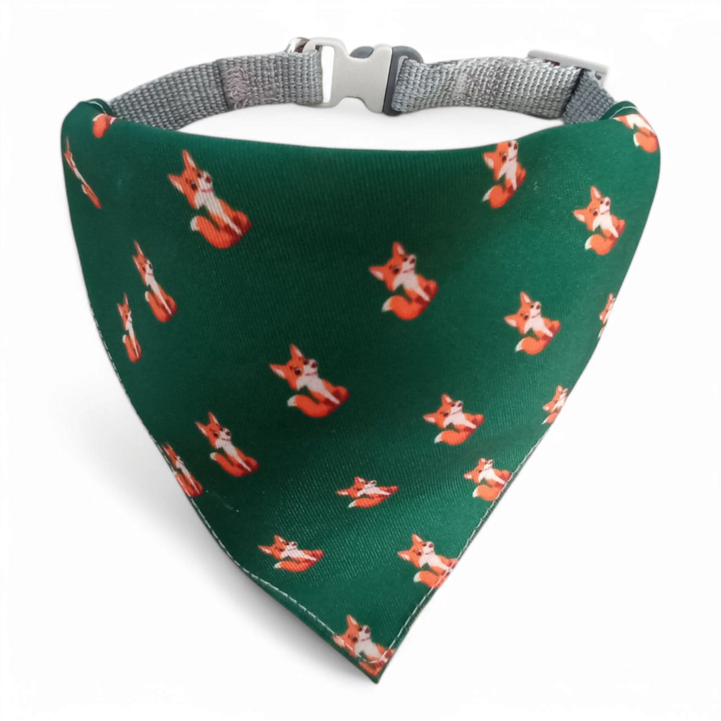 Collar + pañoleta