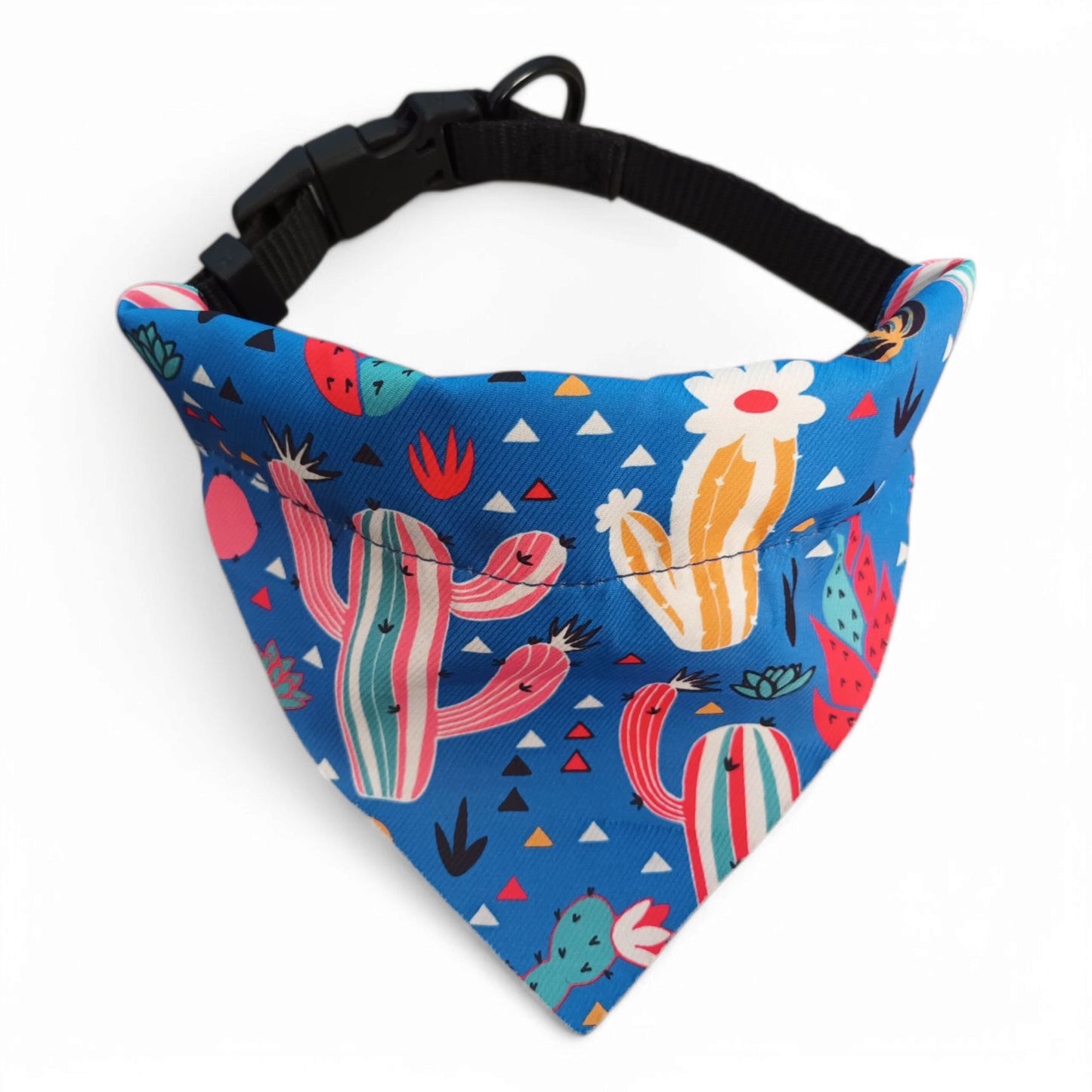 Collar + pañoleta