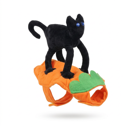 Disfraz gato calabaza sobre fondo blanco