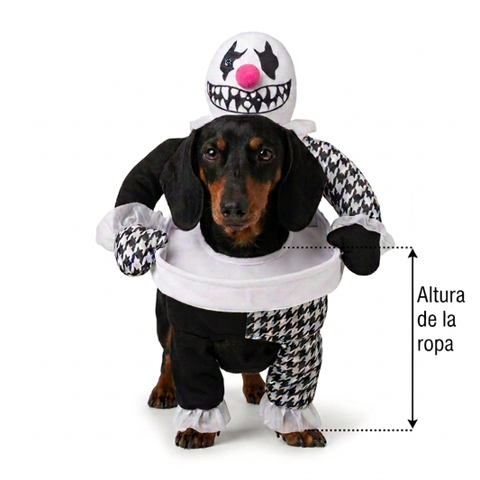 Altura desde el cuello de Max hasta el borde inferior del vuelo blanco del pantalón, sin incluir las patas