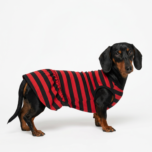 Max modelando vestido Freddy Krueger de pie